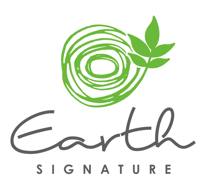 Earth Signature